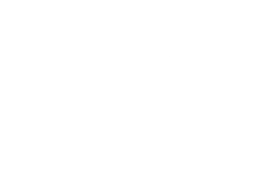 SOCIETA’ SERVIZI RIABILITATIVI SPA